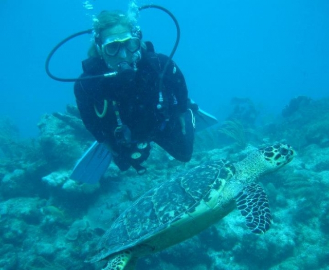 Buceando con tortugas marinas